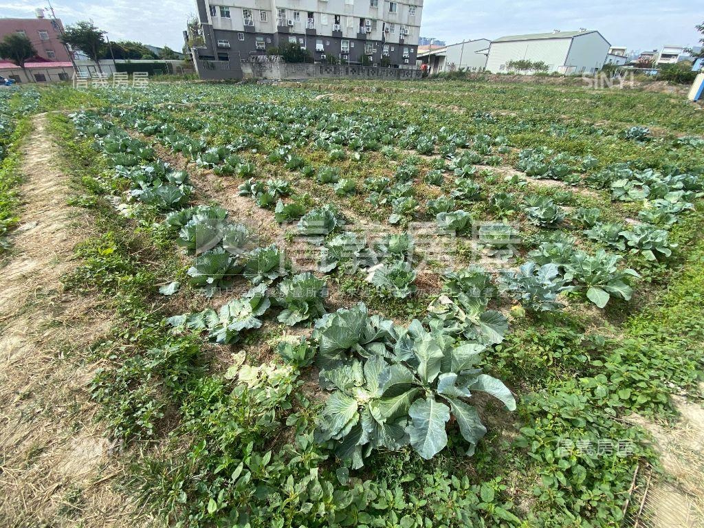 近未來漢翔路都計內農地房屋室內格局與周邊環境