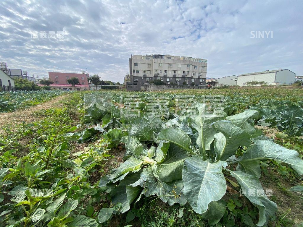 近未來漢翔路都計內農地房屋室內格局與周邊環境