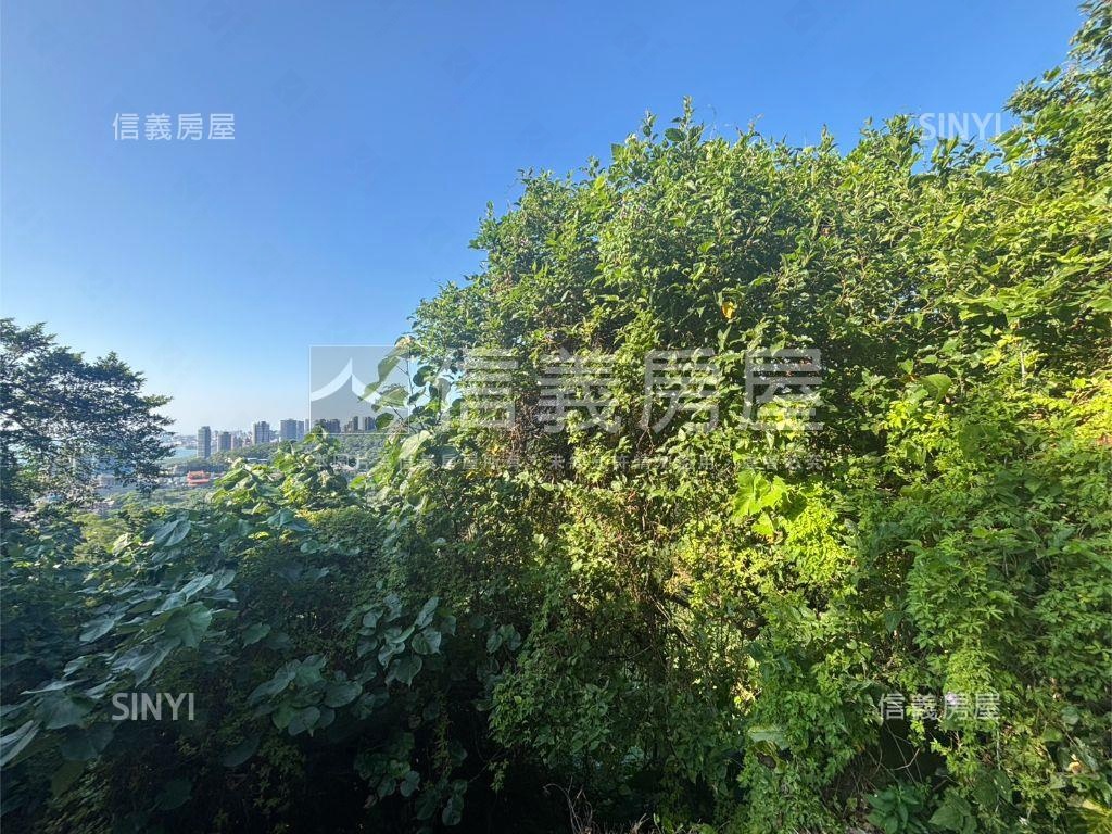 飛歌段土地誠意出售房屋室內格局與周邊環境