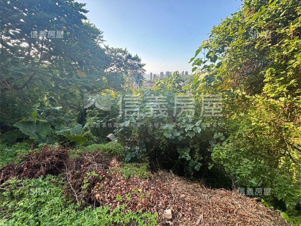 飛歌段土地誠意出售房屋室內格局與周邊環境