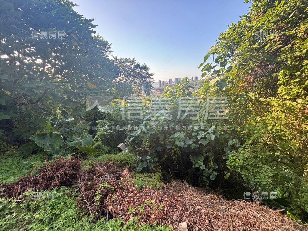 飛歌段土地誠意出售房屋室內格局與周邊環境