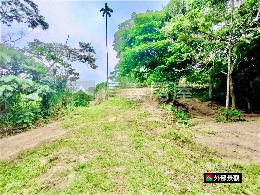 關子嶺大仙寺旁農土地房屋室內格局與周邊環境