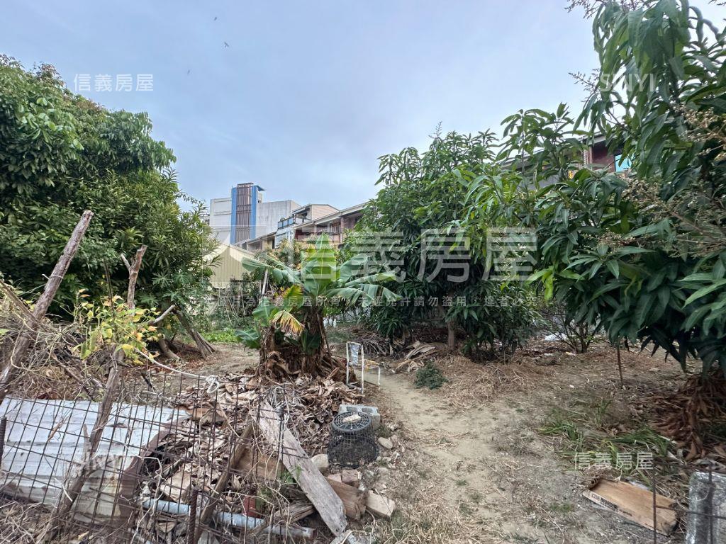 近永大路面寬１４米豪宅地房屋室內格局與周邊環境