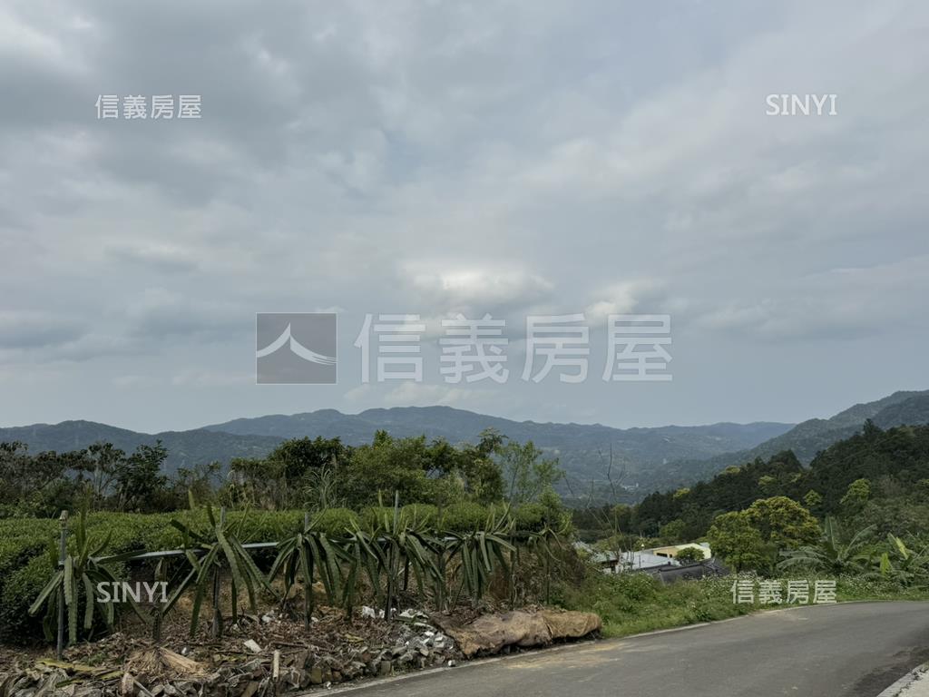 坪林山區４０３６坪土地房屋室內格局與周邊環境