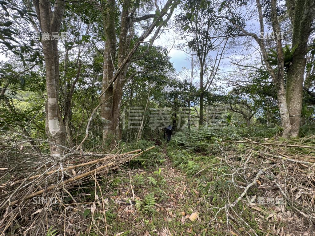 坪林山區４０３６坪土地房屋室內格局與周邊環境