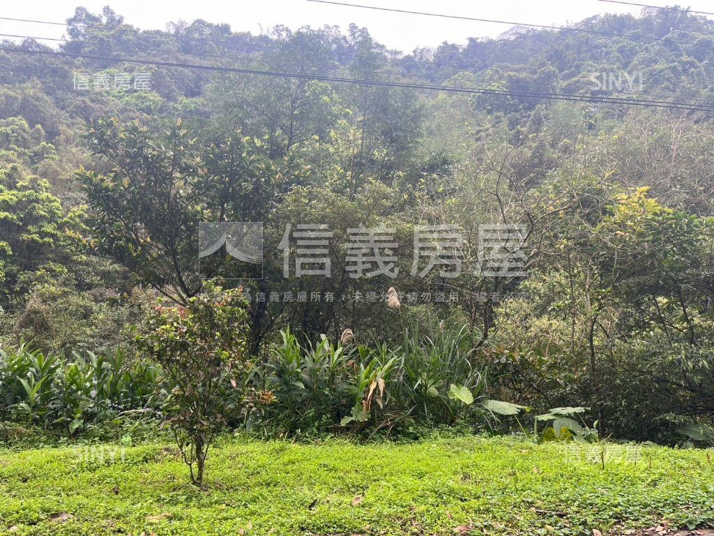石碇排寮段土地房屋室內格局與周邊環境