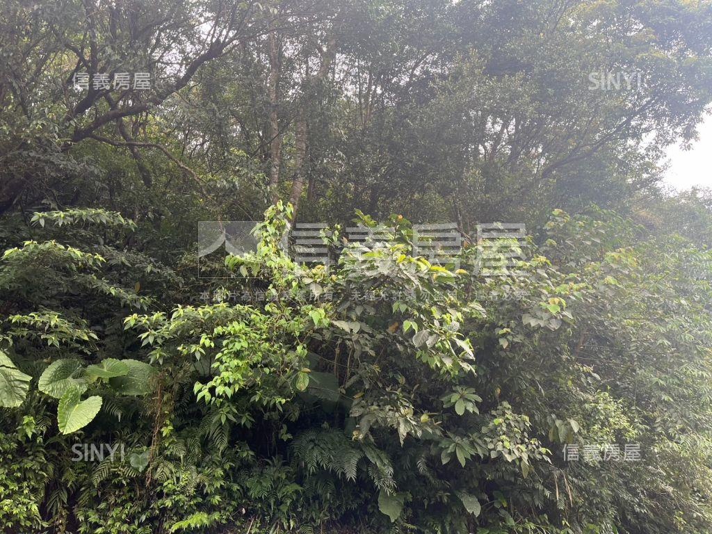 石碇排寮段土地房屋室內格局與周邊環境