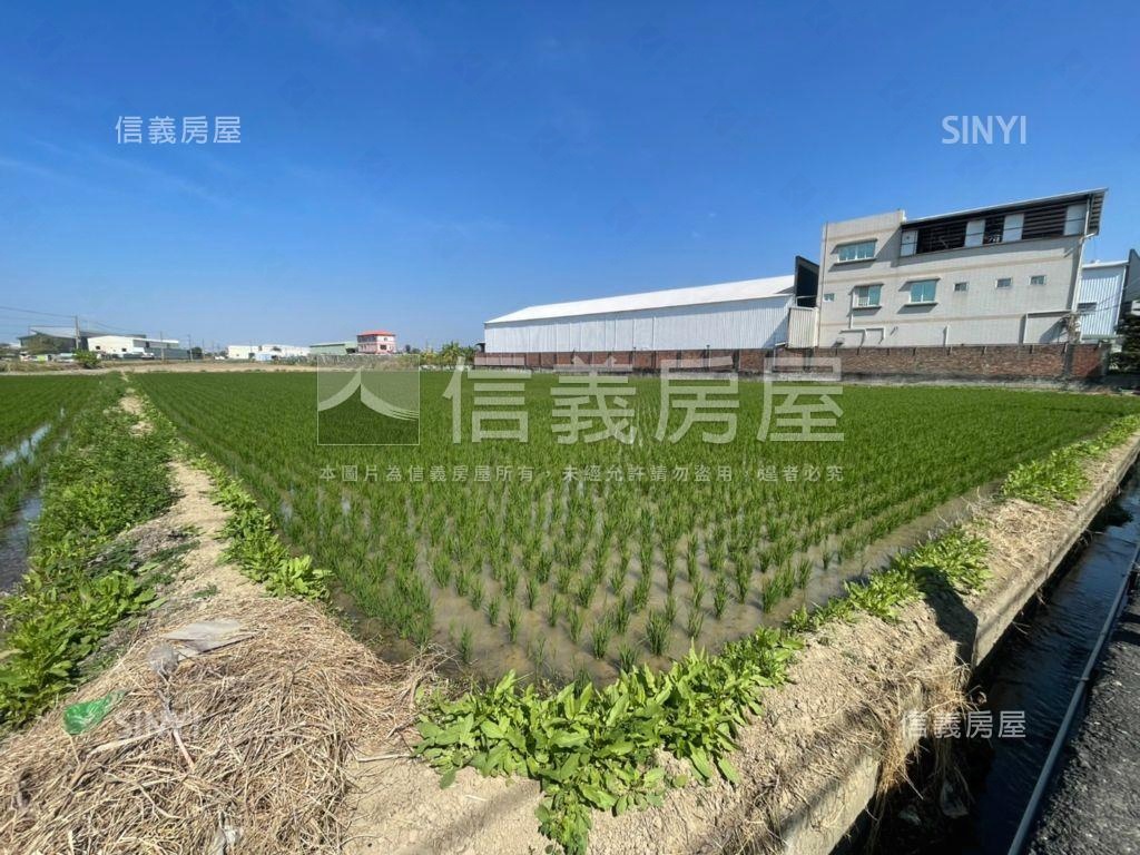 華鳳方正大塊農地房屋室內格局與周邊環境