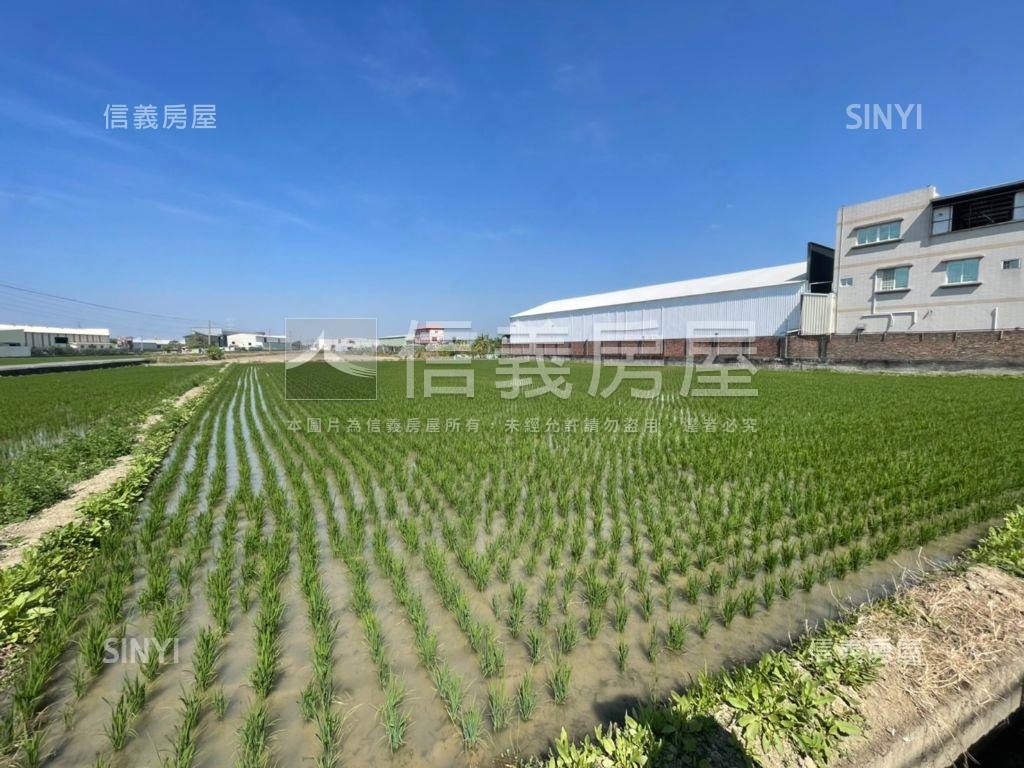 華鳳方正大塊農地房屋室內格局與周邊環境