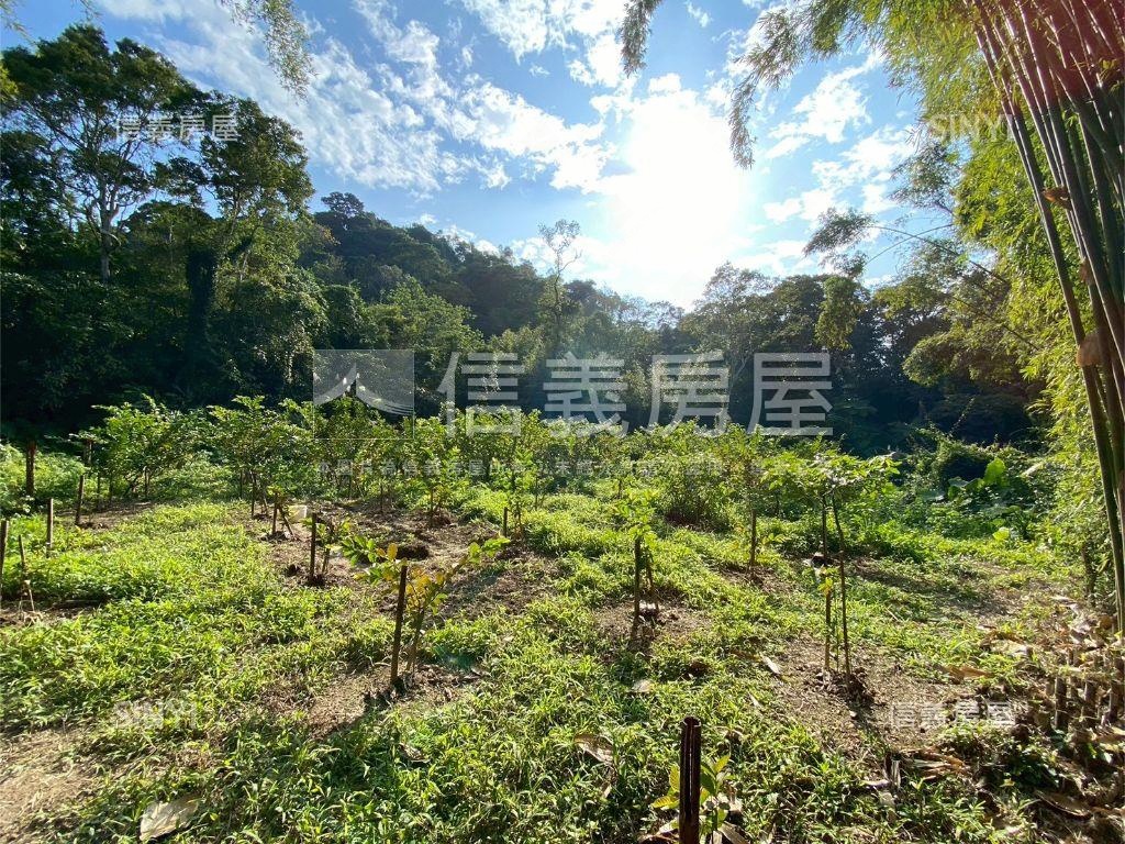 大溪信義段生態農地之二房屋室內格局與周邊環境