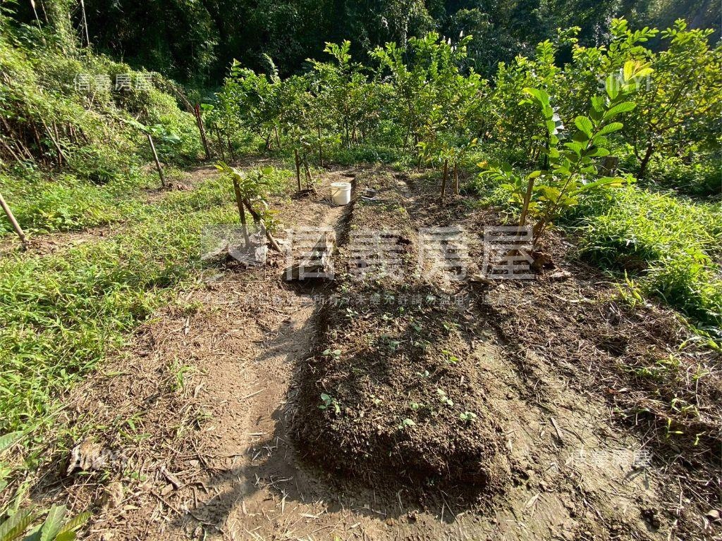 大溪信義段生態農地之二房屋室內格局與周邊環境