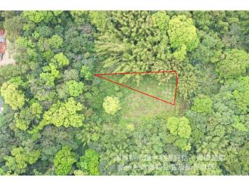 大溪信義段生態農地之二