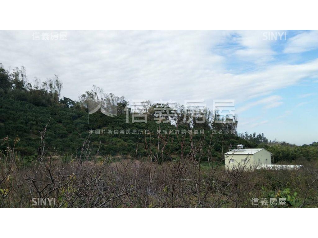 后里火車站後山貳千坪土地房屋室內格局與周邊環境