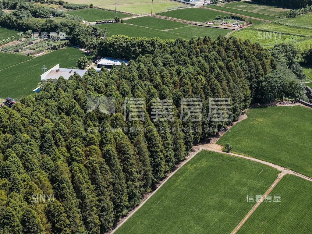 堃暘青原墅房屋室內格局與周邊環境