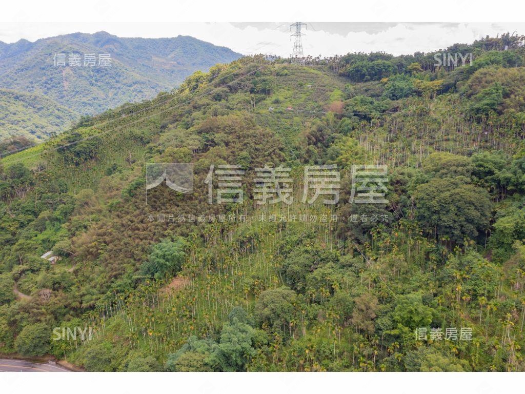 Ａ案！新社土地房屋室內格局與周邊環境