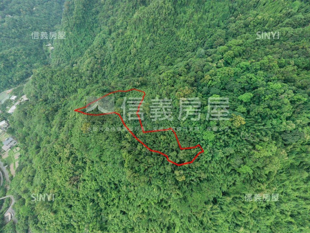 新店青潭段持分土地房屋室內格局與周邊環境