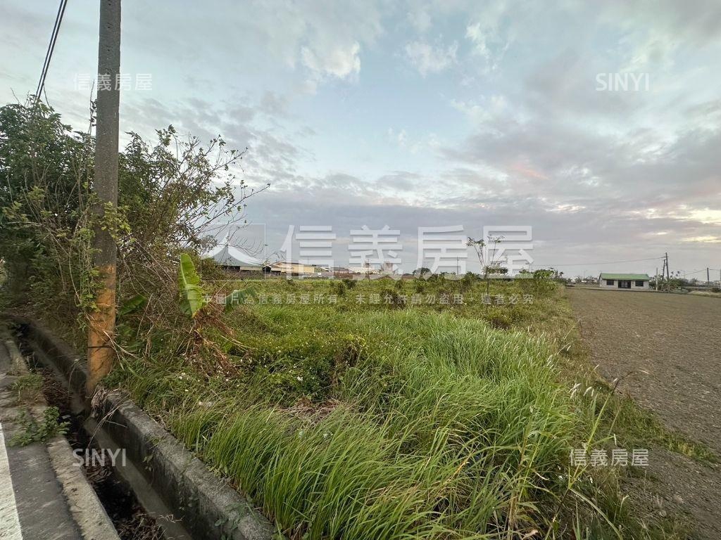 善化大塊方正農地房屋室內格局與周邊環境