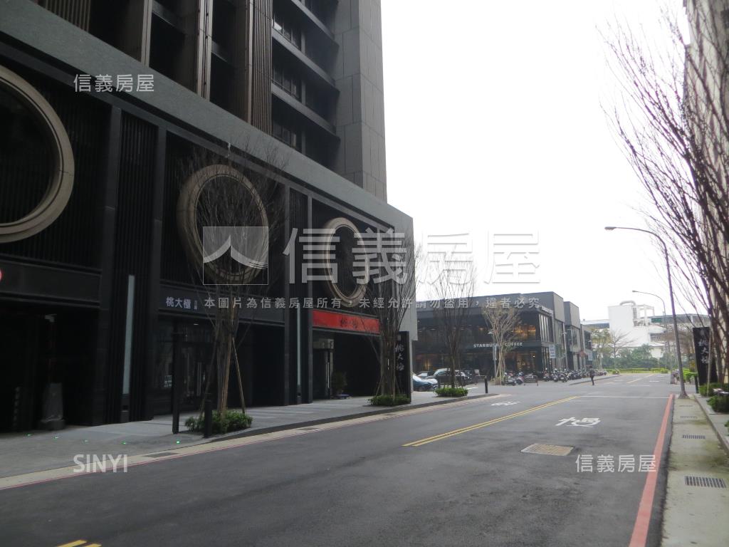 桃大極大器落成房屋室內格局與周邊環境