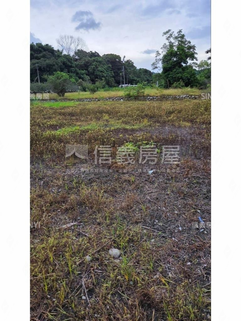 東勢土地６３７－２房屋室內格局與周邊環境