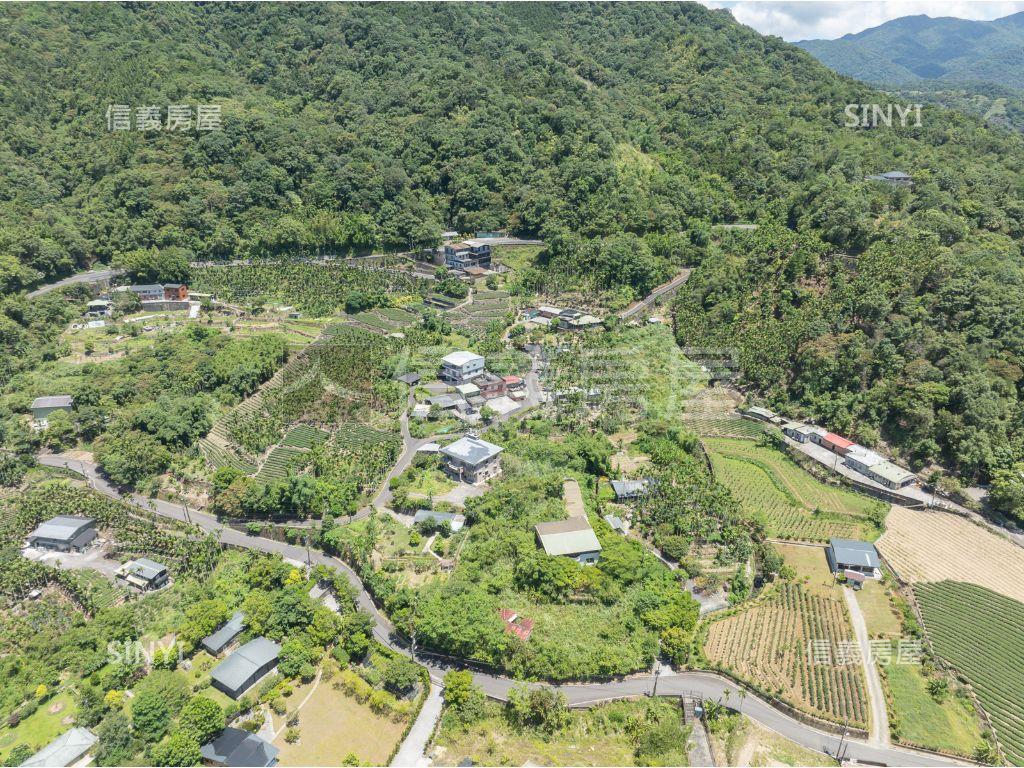 坪林1199坪地房屋室內格局與周邊環境