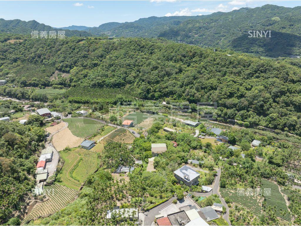 坪林1199坪地房屋室內格局與周邊環境