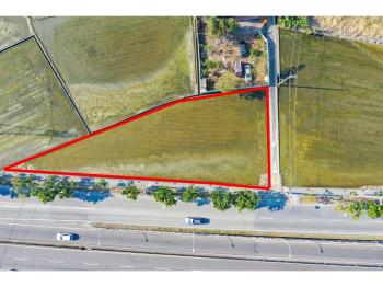 馬年大吉夏田東段百坪農地