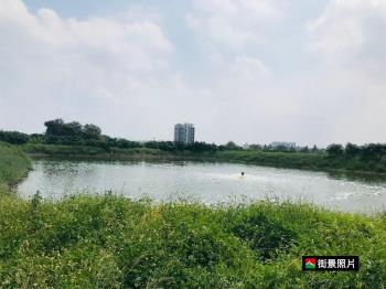 Ｆ安南海尾美地又一塊