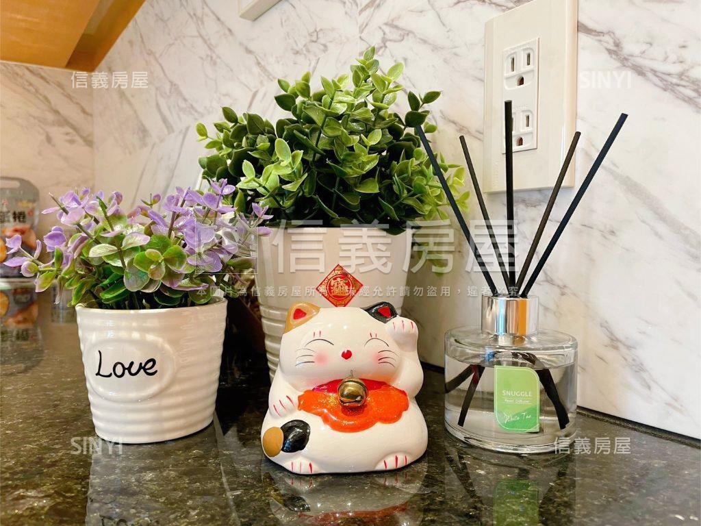 ［新接］遠雄副都心米蘭讚房屋室內格局與周邊環境