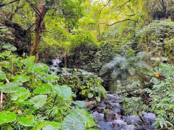 陽明山家傳寶地