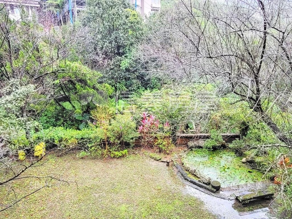 獨棟挑高景觀庭園別墅房屋室內格局與周邊環境