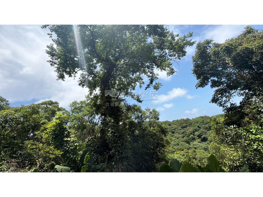 ☺︎林口大坪數土地房屋室內格局與周邊環境