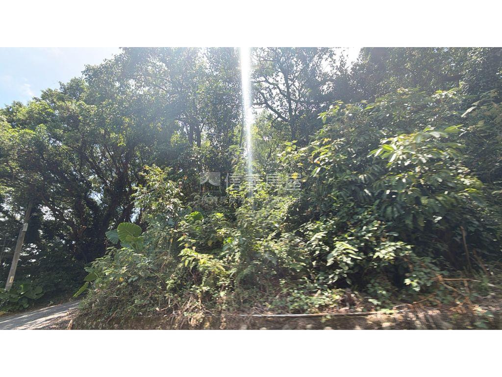 ☺︎林口大坪數土地房屋室內格局與周邊環境
