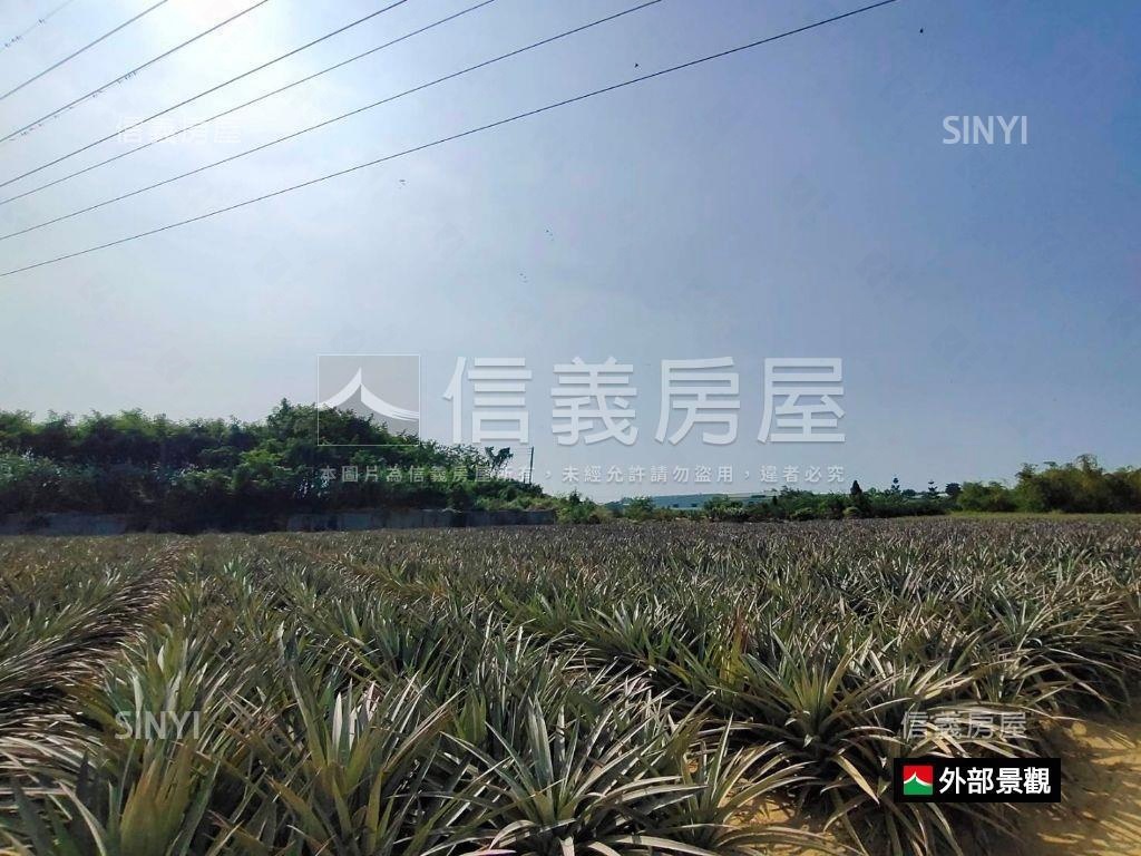 關廟旺來農地房屋室內格局與周邊環境