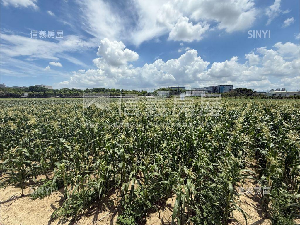 新市橋頭段都農地房屋室內格局與周邊環境