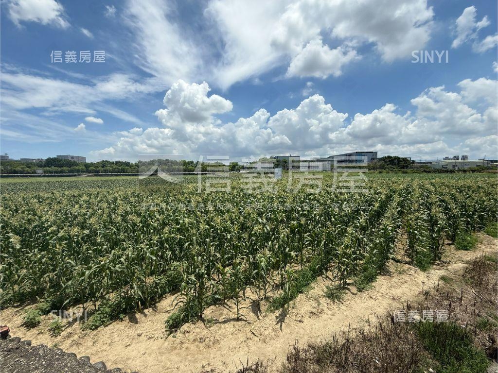新市橋頭段都農地房屋室內格局與周邊環境