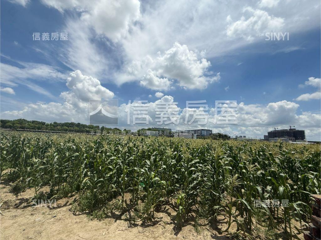新市橋頭段都農地房屋室內格局與周邊環境