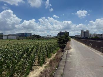 新市橋頭段都農地