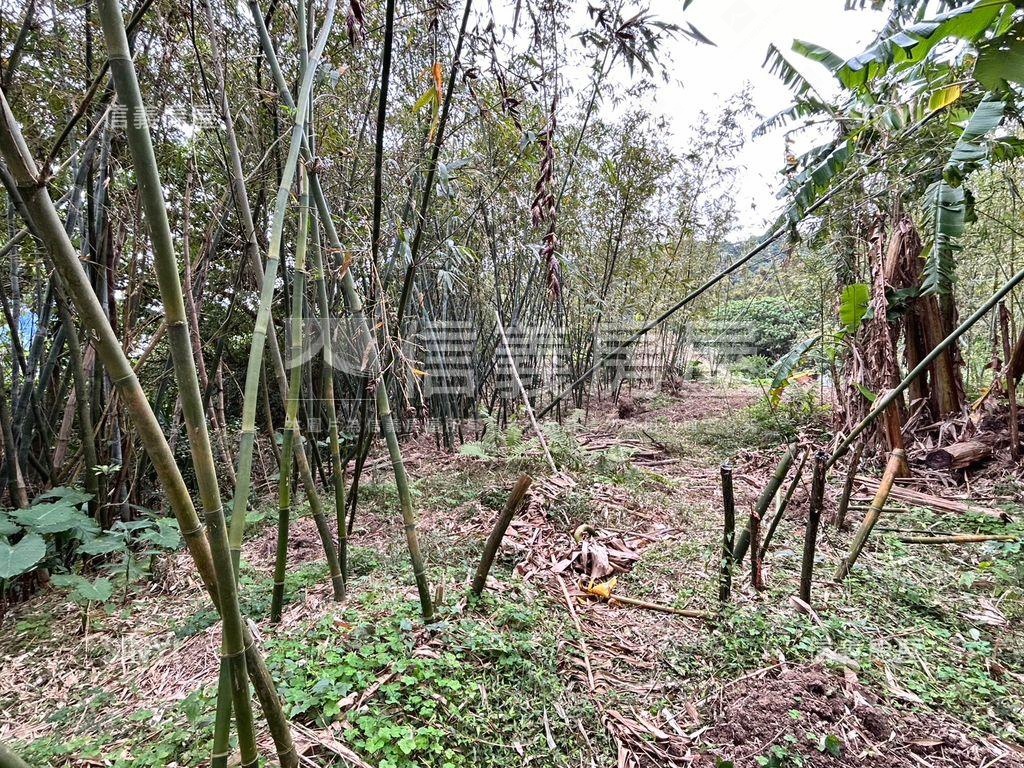 紅樹林土地房屋室內格局與周邊環境