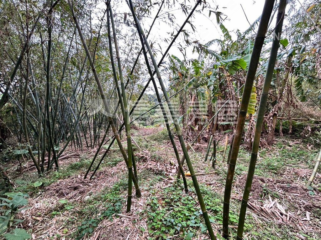 紅樹林土地房屋室內格局與周邊環境