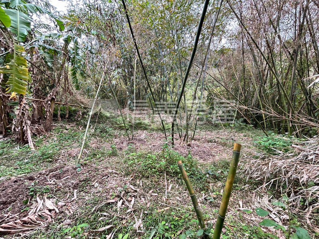 紅樹林土地房屋室內格局與周邊環境