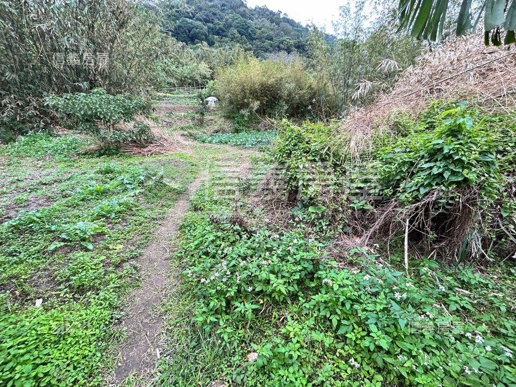紅樹林土地房屋室內格局與周邊環境