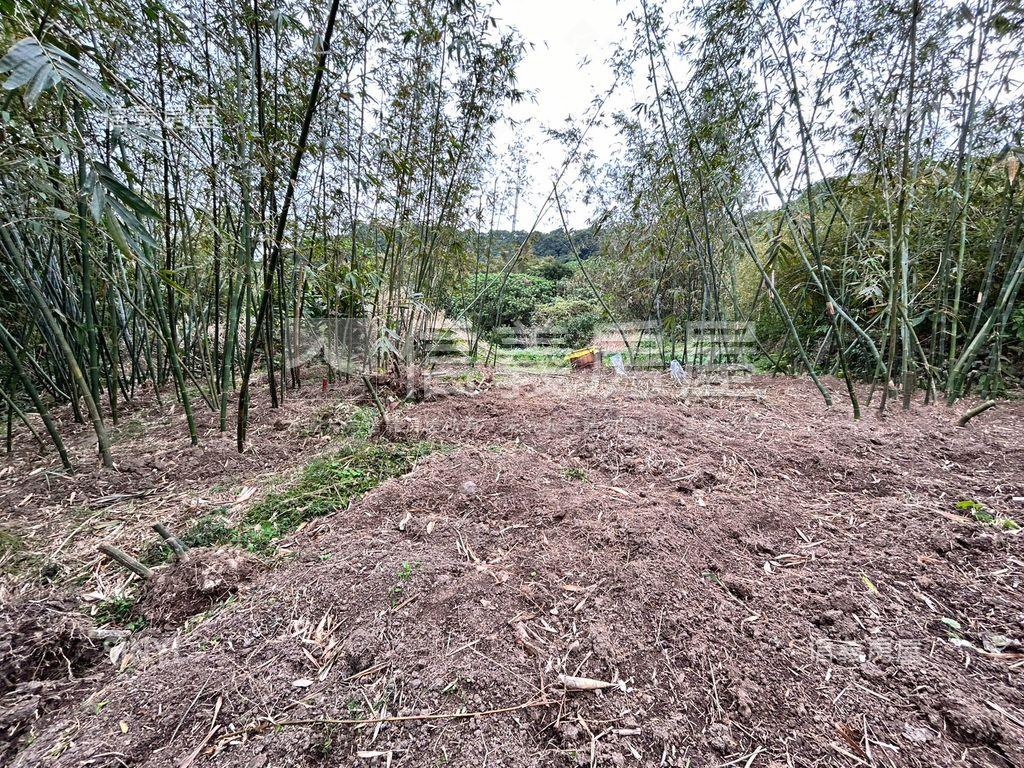 紅樹林土地房屋室內格局與周邊環境