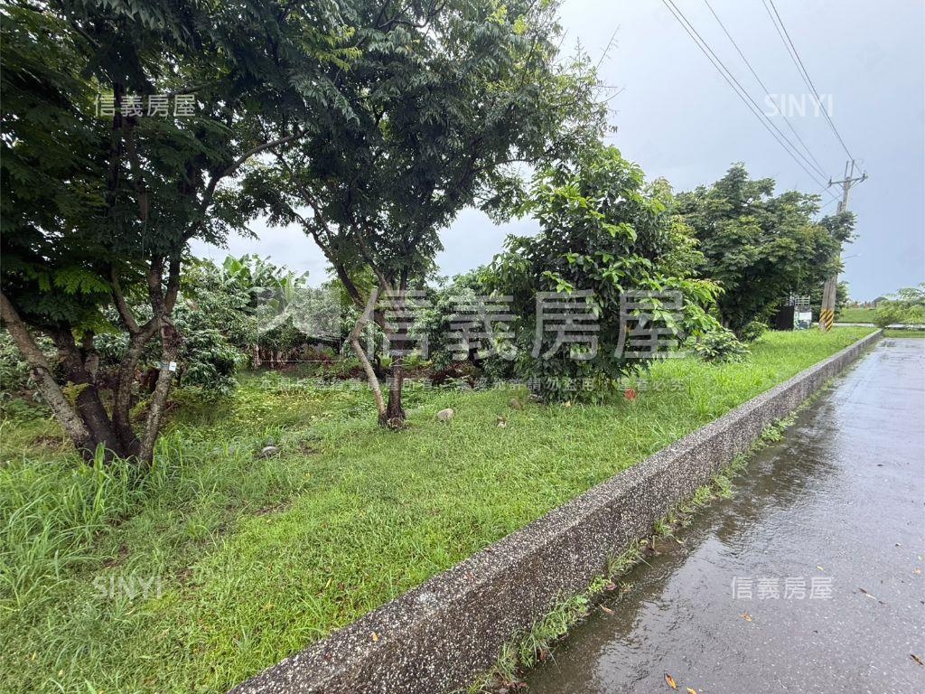 太平臨路農地房屋室內格局與周邊環境