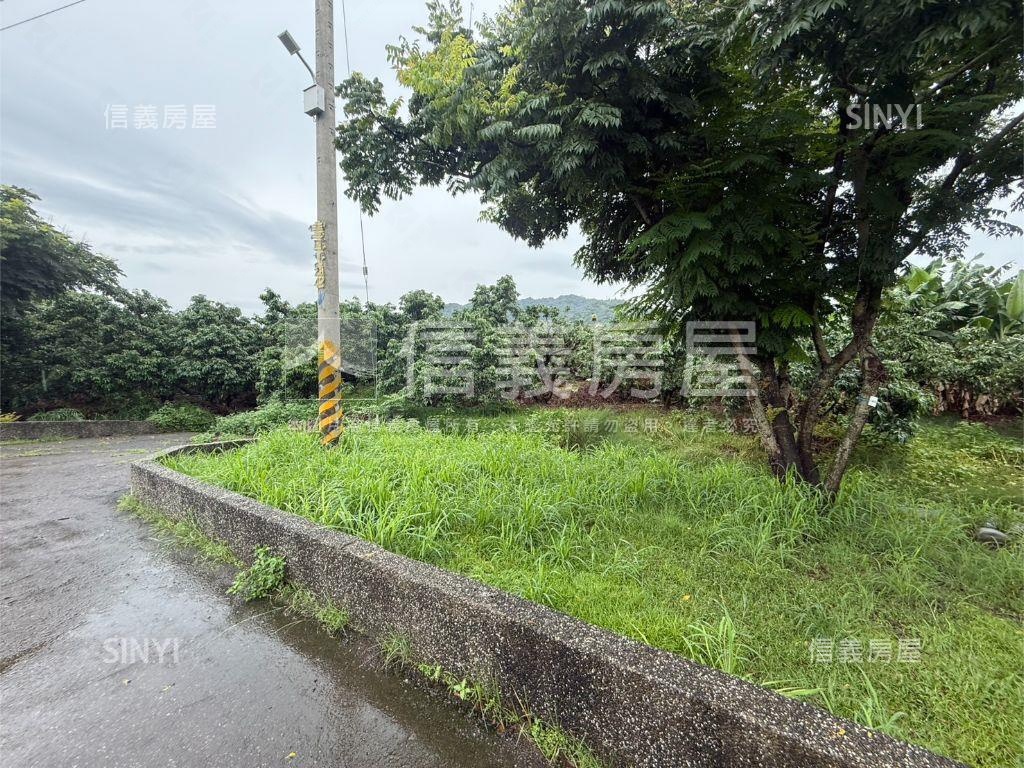 太平臨路農地房屋室內格局與周邊環境