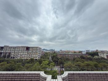 稀有釋出頂樓台大綠景