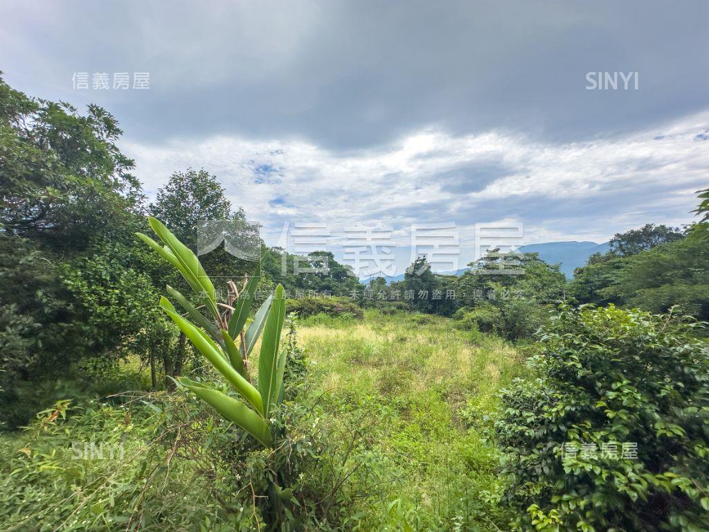 陽明山好規劃土地房屋室內格局與周邊環境