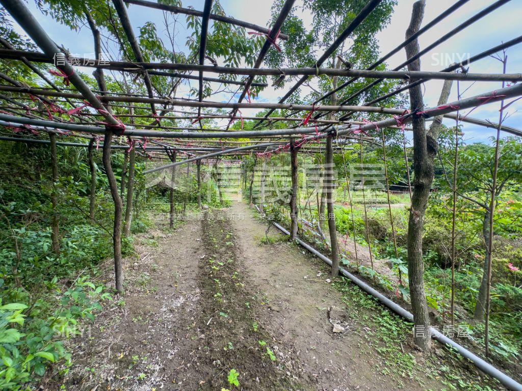 陽明山好規劃土地房屋室內格局與周邊環境