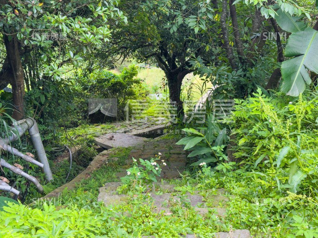 陽明山好規劃土地房屋室內格局與周邊環境