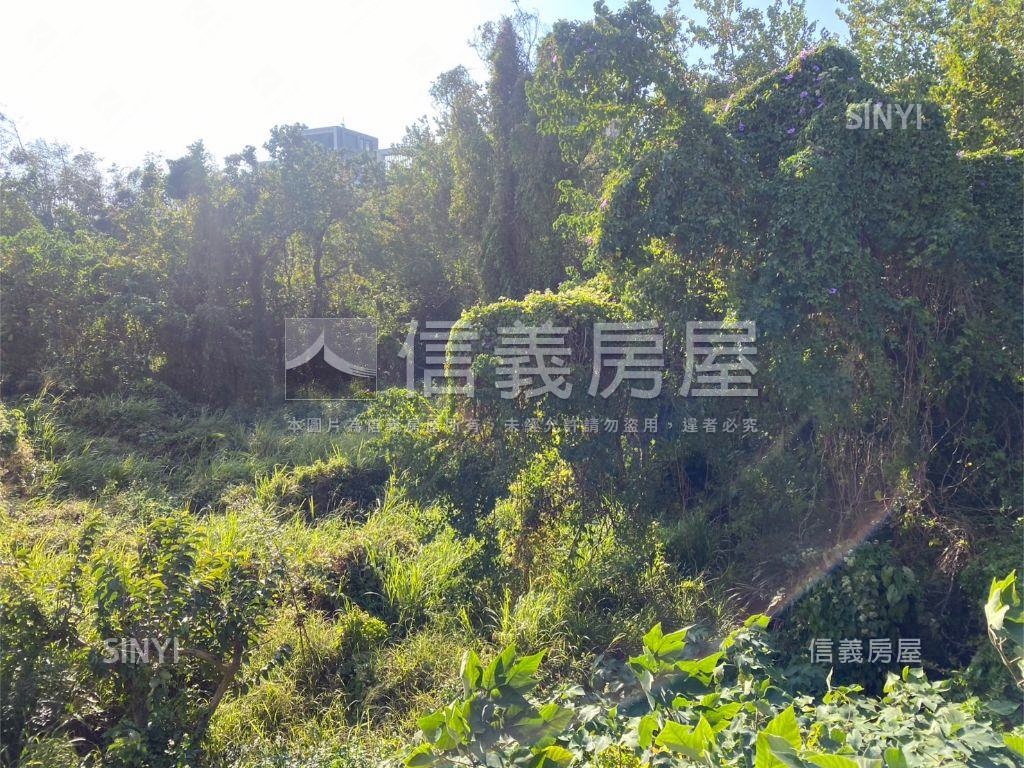 龍社七街大面積土地房屋室內格局與周邊環境