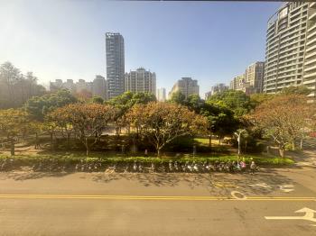 稀有釋出中央公園露臺戶